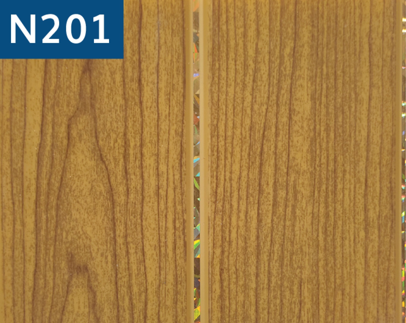N201