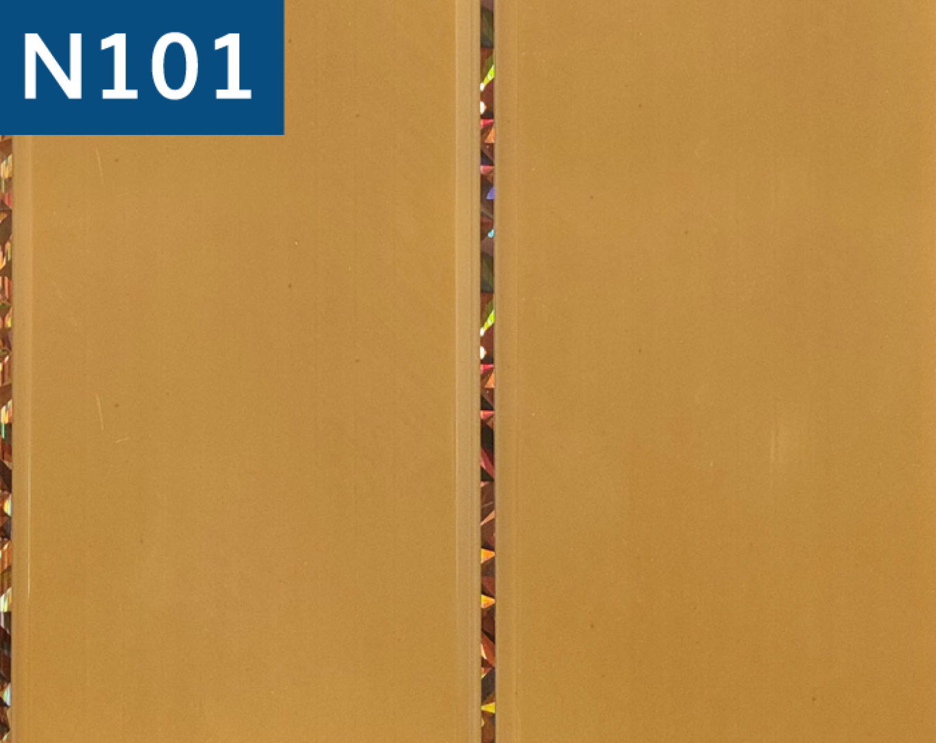 N101