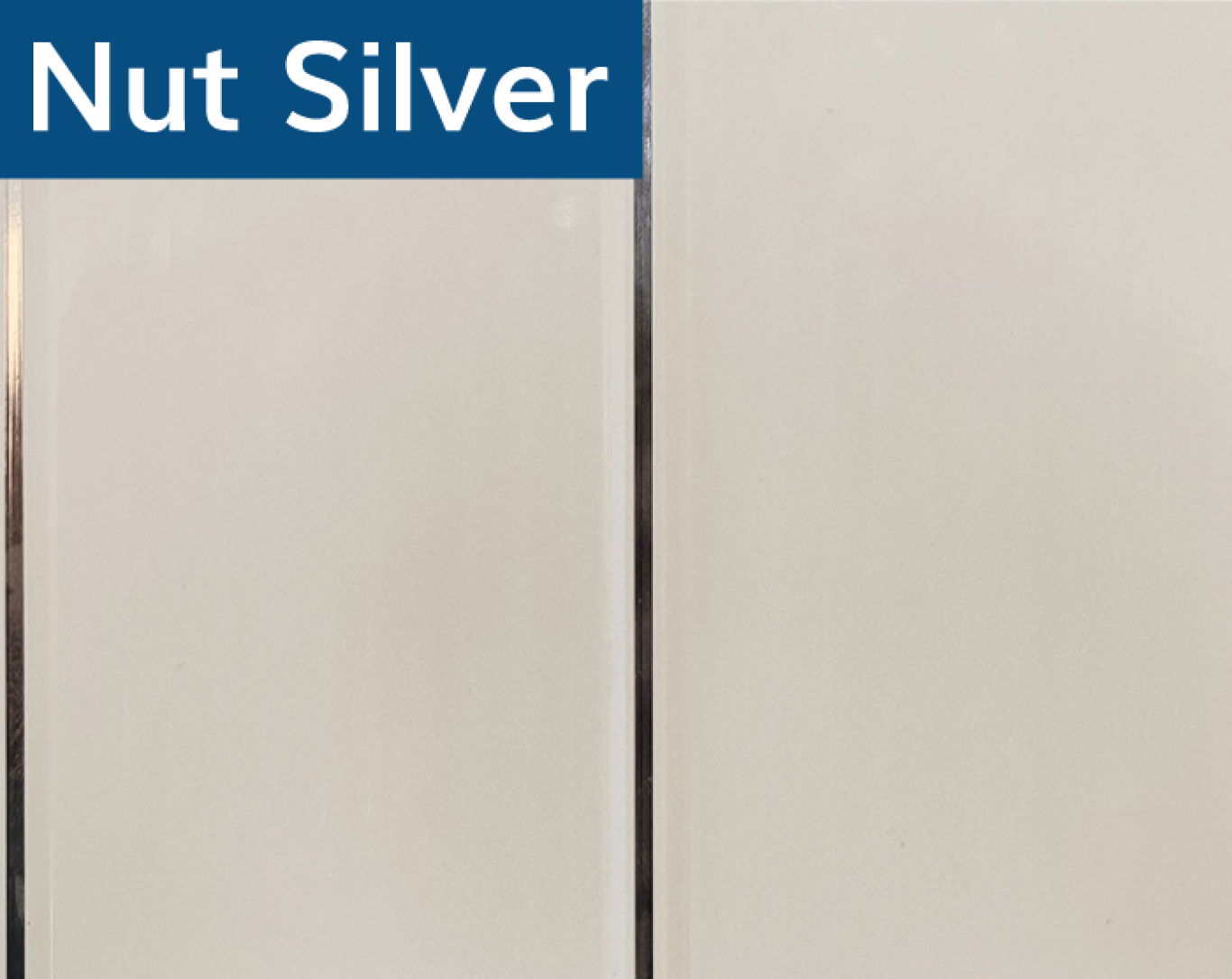NUT SILVER