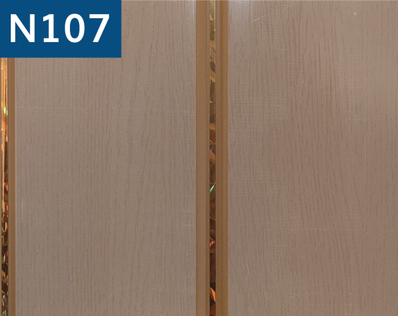 N107